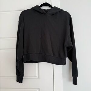 Babaton Cropped Hoodie